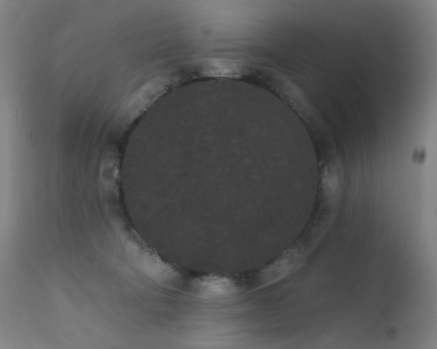 X0000111460322200907131501