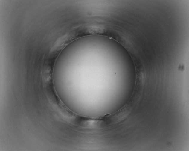 X0000111460323200907131501