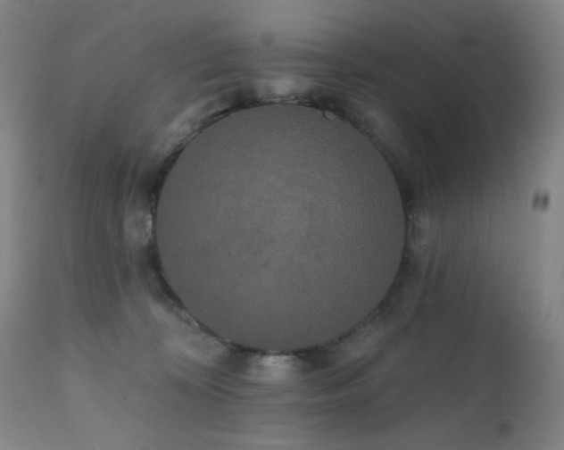 X0000111460324200907131501