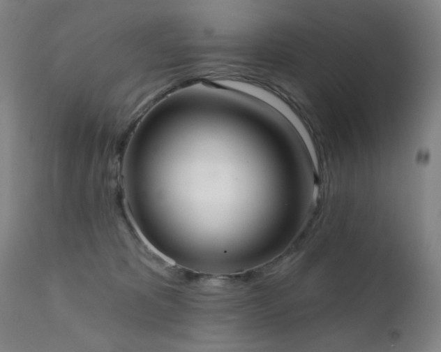 X0000111460325200907131501