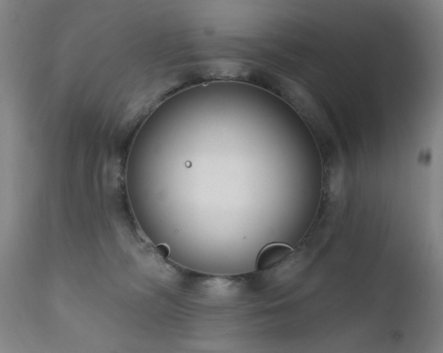 X0000111460326200907131501