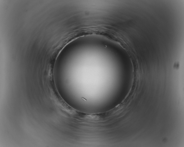 X0000111460328200907131501