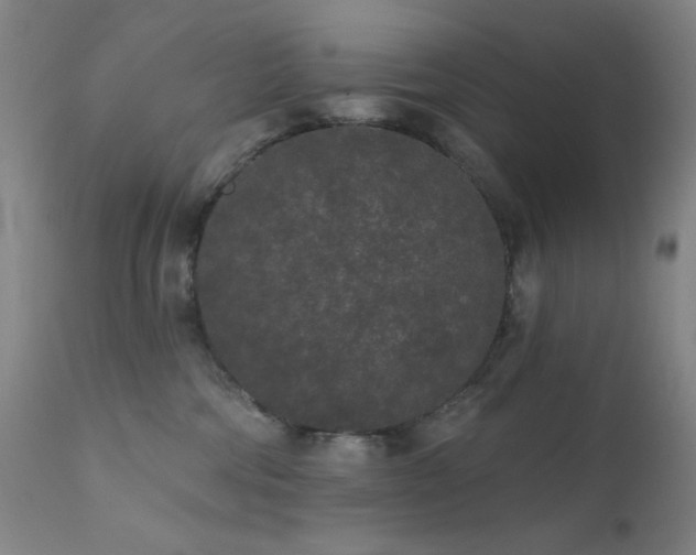 X0000111460330200907131501