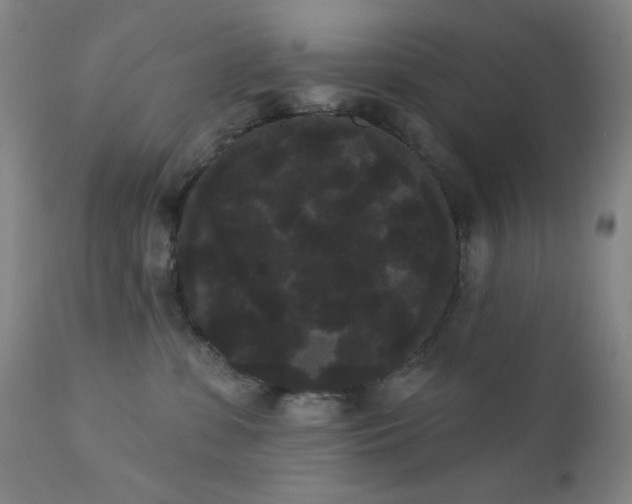 X0000111460331200907131501