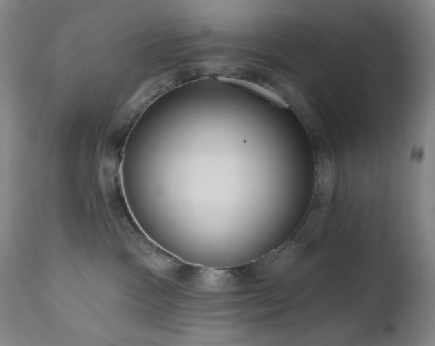 X0000111460333200907131501