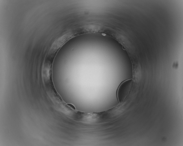 X0000111460334200907131501