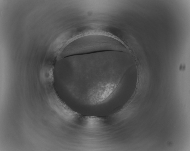 X0000111460336200907131501
