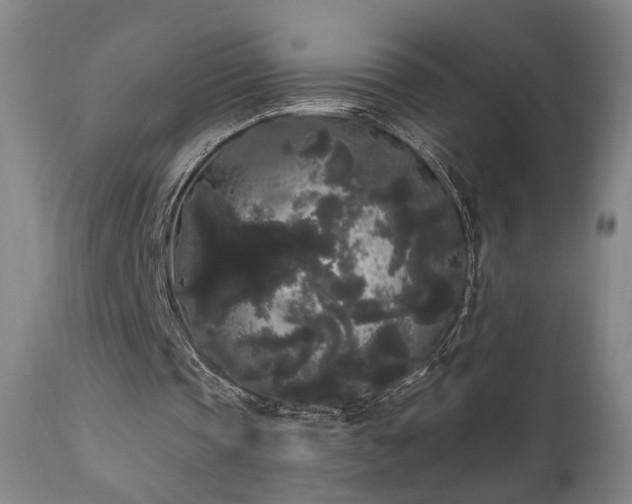 X0000111460337200907131501