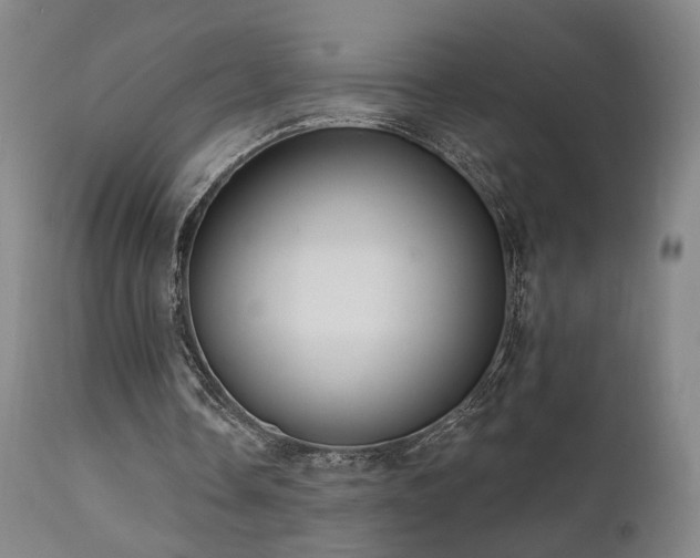 X0000111460338200907131501