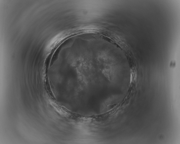 X0000111460339200907131501