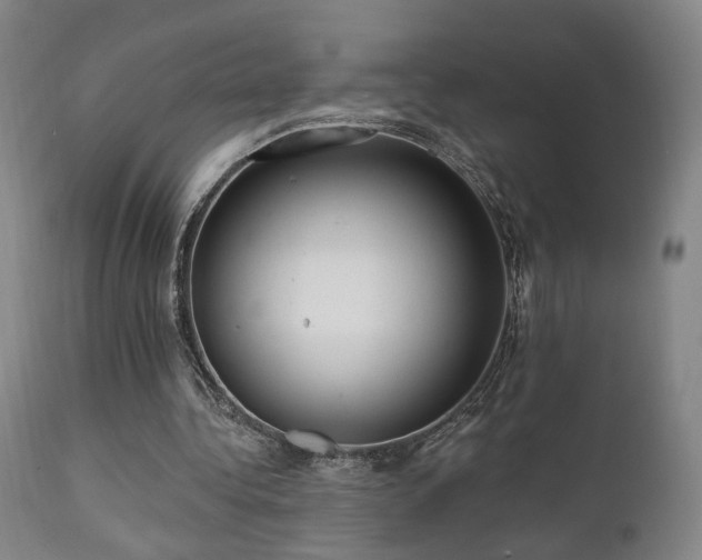 X0000111460340200907131501