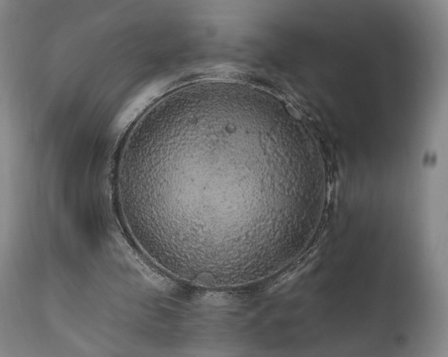 X0000111460341200907131501