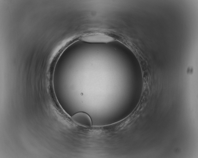 X0000111460342200907131501