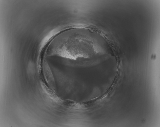 X0000111460343200907131501