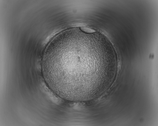 X0000111460345200907131501