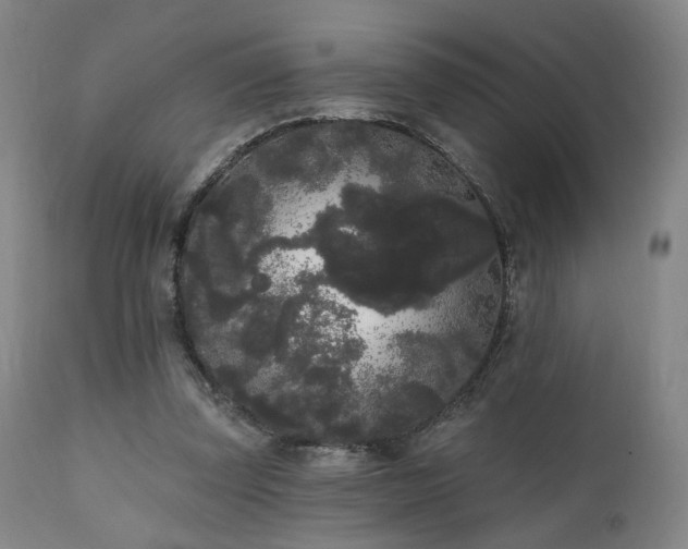 X0000111460347200907131501