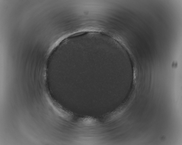 X0000111460348200907131501