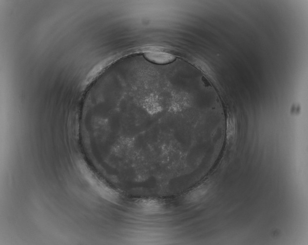 X0000111460349200907131501