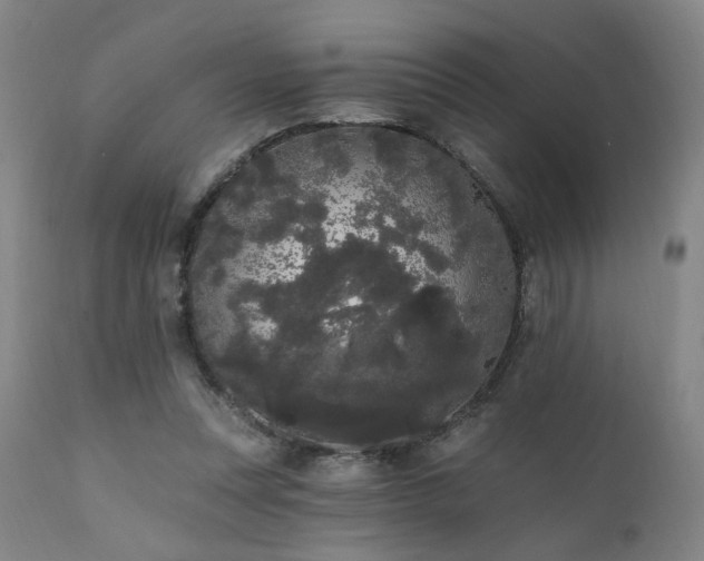 X0000111460351200907131501