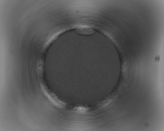 X0000111460352200907131501