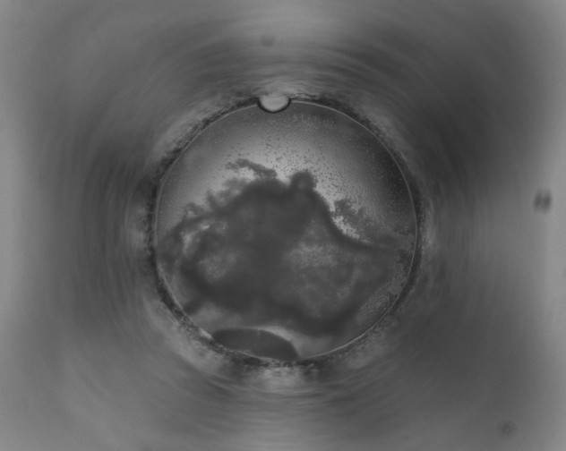 X0000111460353200907131501