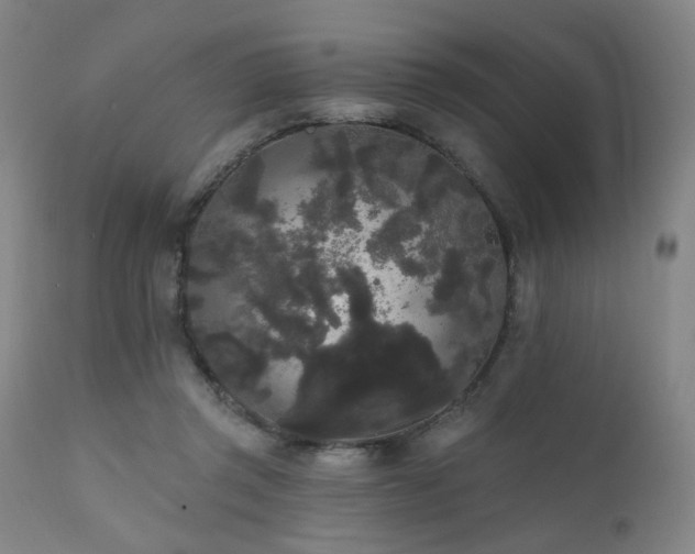 X0000111460357200907131501