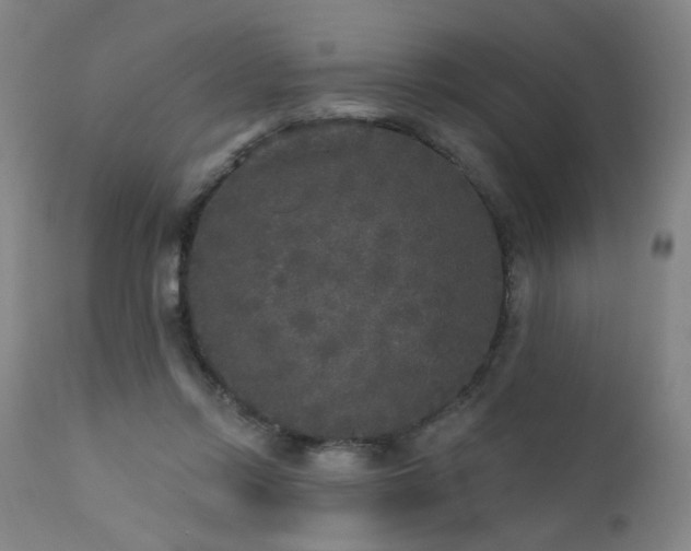 X0000111460358200907131501