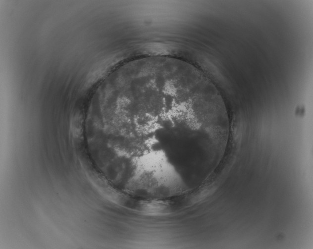 X0000111460359200907131501