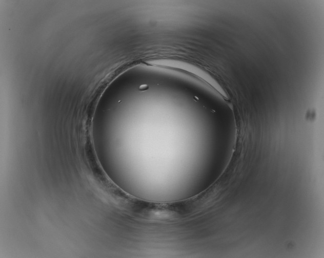 X0000111460360200907131501