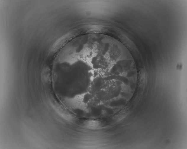X0000111460361200907131501