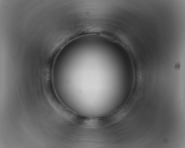 X0000111460362200907131501