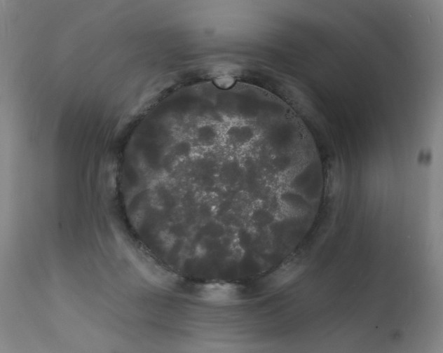 X0000111460363200907131501