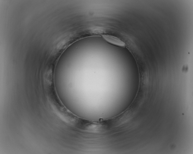 X0000111460364200907131501