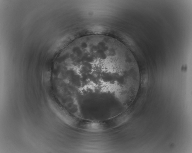 X0000111460365200907131501