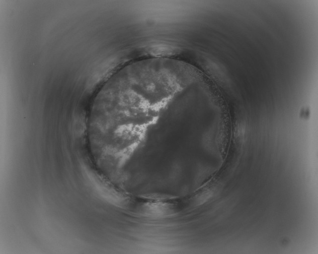 X0000111460367200907131501