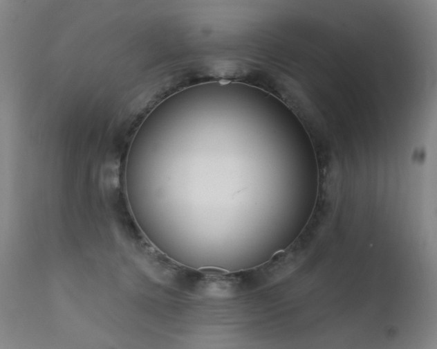 X0000111460368200907131501