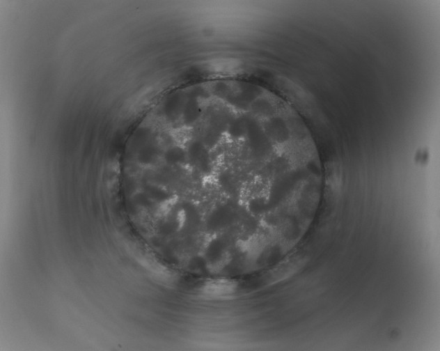 X0000111460369200907131501