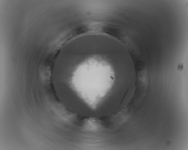 X0000111460372200907131501