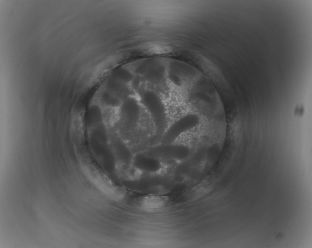 X0000111460373200907131501