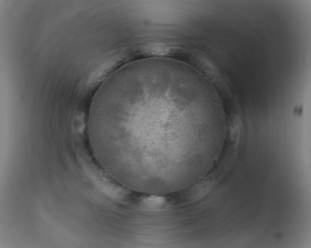 X0000111460374200907131501