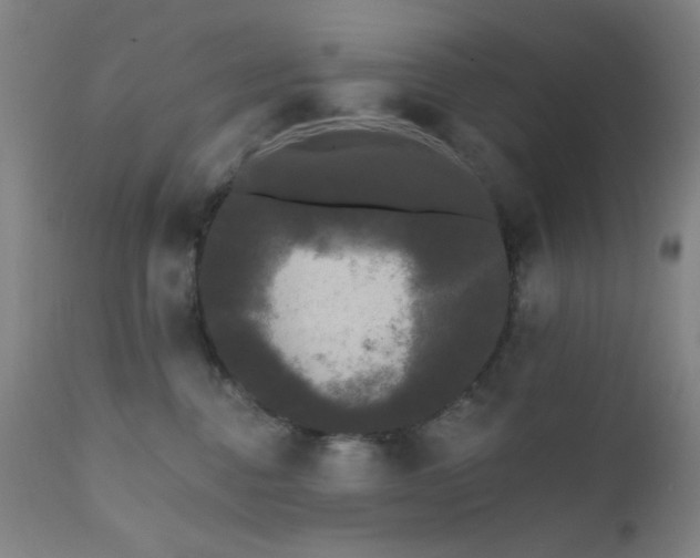 X0000111460376200907131501