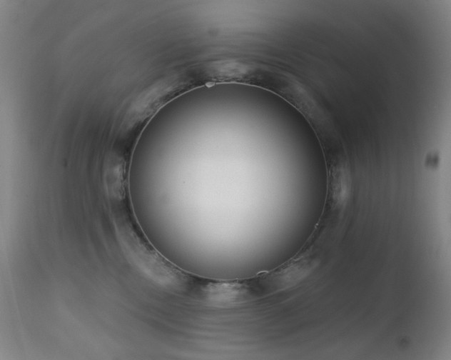 X0000111460378200907131501