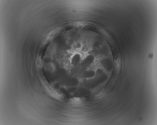 X0000111460381200907131501
