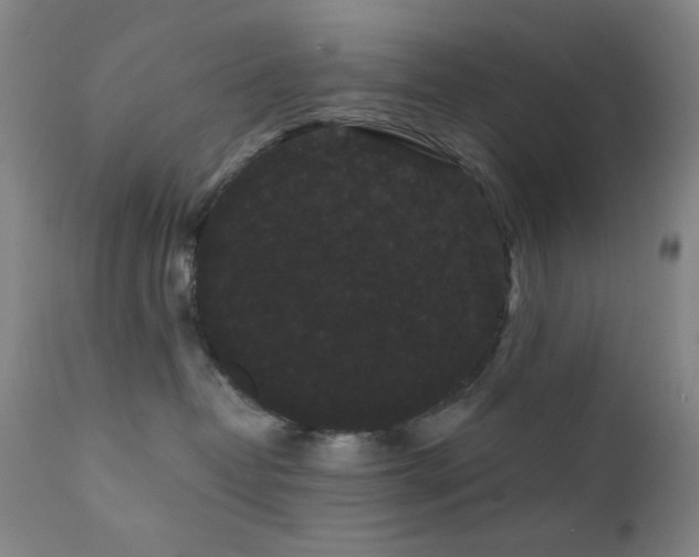 X0000111460382200907131501
