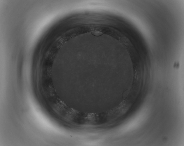 X0000111460383200907131501