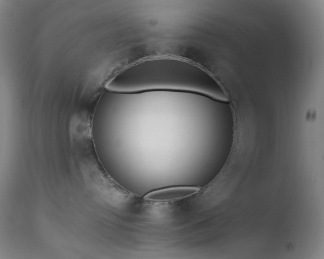 X0000111460384200907131501