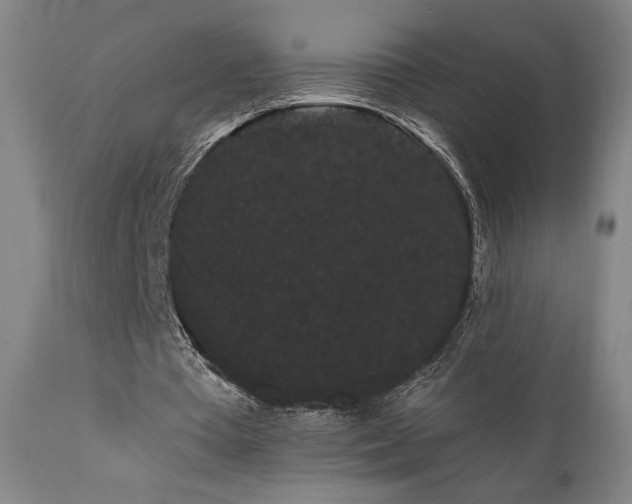 X0000111460385200907131501