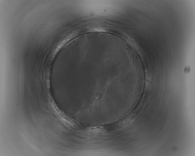 X0000111460386200907131501