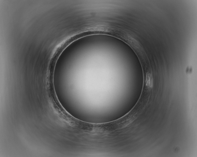 X0000111460388200907131501