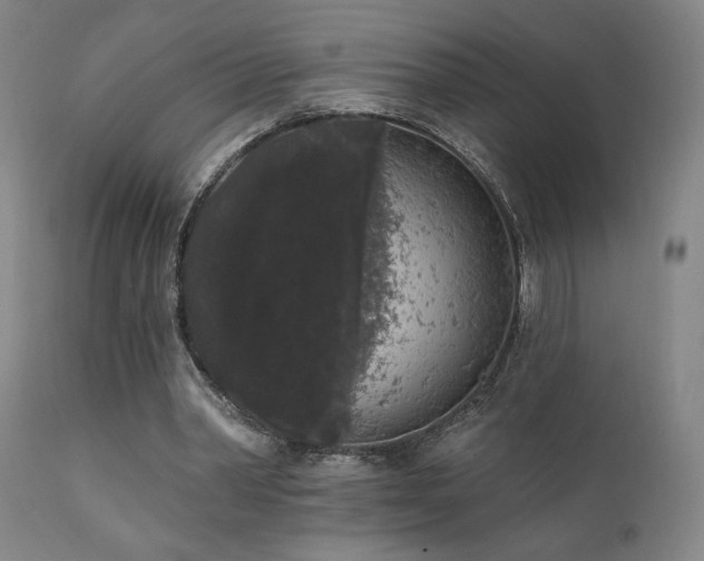 X0000111460390200907131501